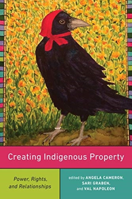 Creating Indigenous Property: Power, Rights, and Relationships