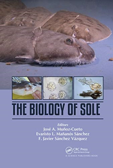 Biology of Sole