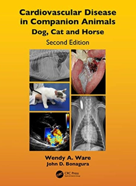 Cardiovascular Disease in Companion Animals: Dog, Cat and Horse