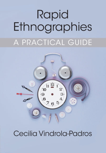 Rapid Ethnographies: A Practical Guide