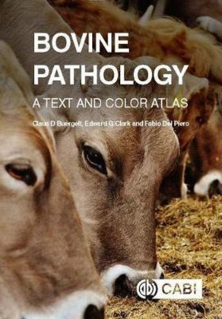 Bovine Pathology: A Text and Color Atlas