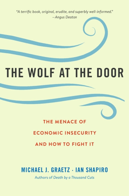 Wolf at the Door: The Menace of Economic Insecurity and How to Fight It