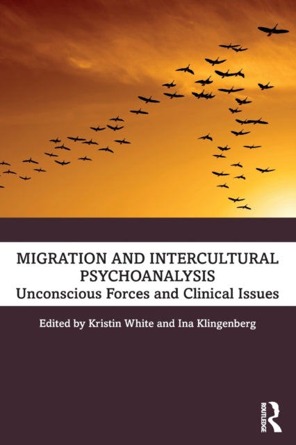 Migration and Intercultural Psychoanalysis: Unconscious Forces and Clinical Issues