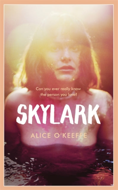 Skylark: The new novel from the author of ON THE UP
