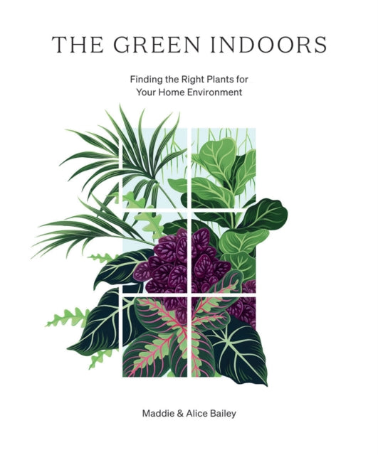 Green Indoors: Finding the Right Plants for Your Home Environment