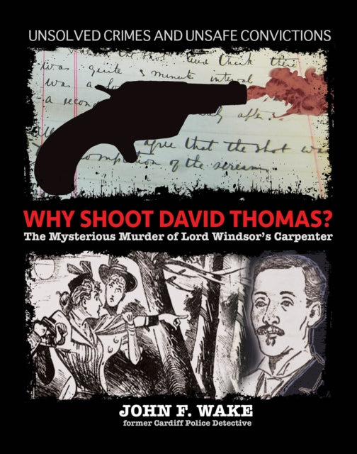 Why Shoot David Thomas?: The Mysterious Murder of Lord Windsor's Carpenter