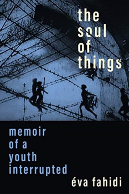 Soul of Things: Memoir of a Youth Interrupted