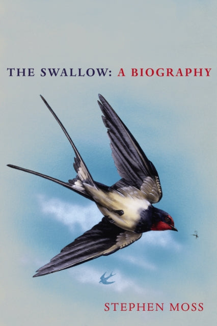 Swallow: A Biography (Shortlisted for the Richard Jefferies Society and White Horse Bookshop Literary Award)