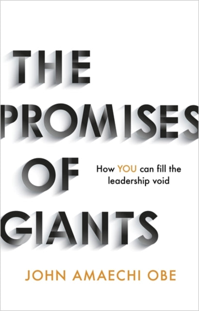 Promises of Giants: How YOU can fill the leadership void --THE SUNDAY TIMES HARDBACK NON-FICTION & BUSINESS BESTSELLER--