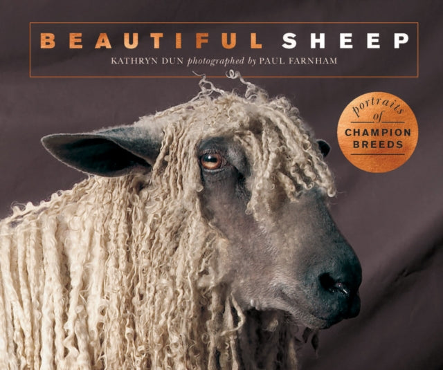 Beautiful Sheep: Portraits of champion breeds