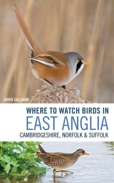 Where to Watch Birds in East Anglia: Cambridgeshire, Norfolk and Suffolk