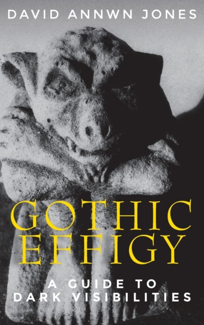 Gothic Effigy: A Guide to Dark Visibilities