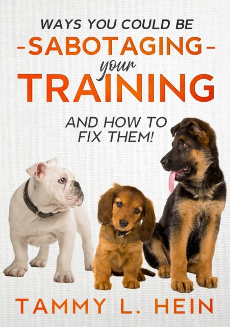 Ways You Could Be Sabotaging Your Training Sessions