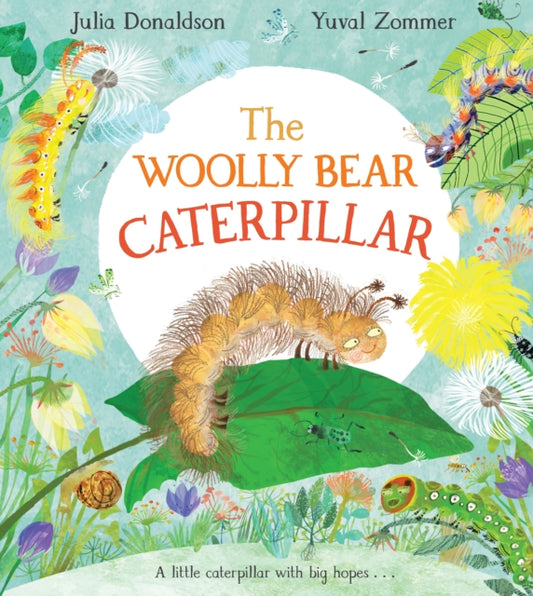 Woolly Bear Caterpillar