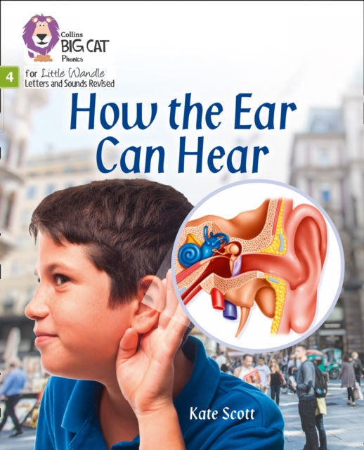 How the Ear Can Hear: Phase 4