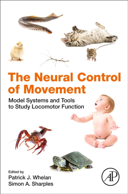 Neural Control of Movement: Model Systems and Tools to Study Locomotor Function