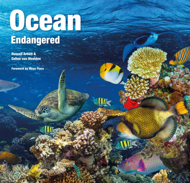 Ocean: Endangered