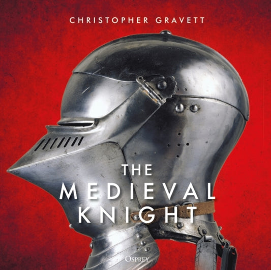 Medieval Knight