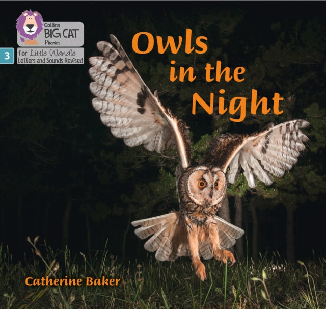 Owls in the Night: Phase 3