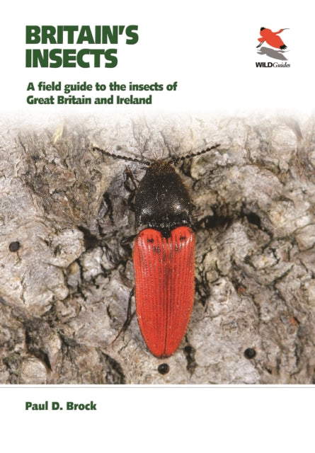 Britain's Insects: A Field Guide to the Insects of Great Britain and Ireland