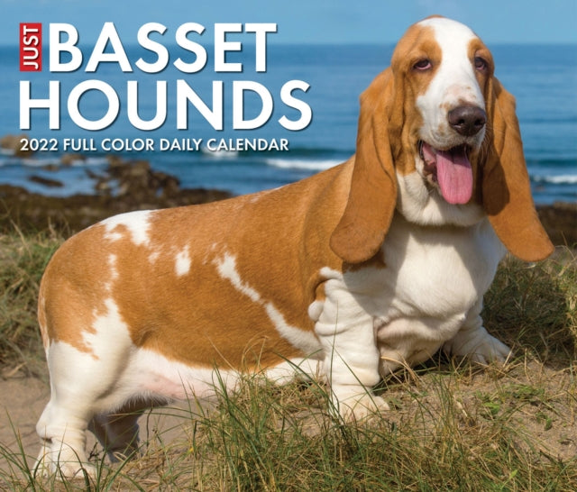 Basset Hounds 2022 Box Calendar - Dog Breed Daily Desktop