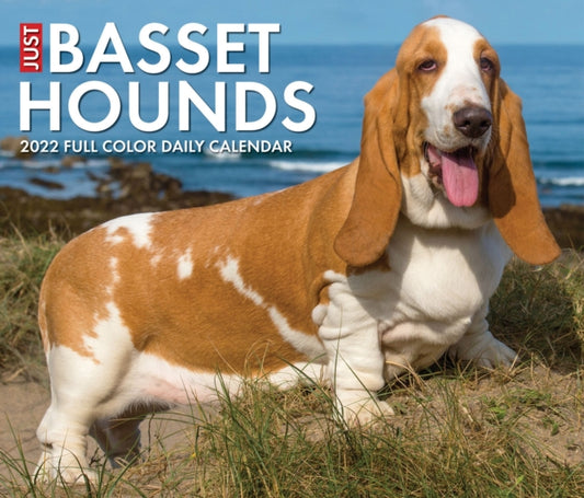 Basset Hounds 2022 Box Calendar - Dog Breed Daily Desktop