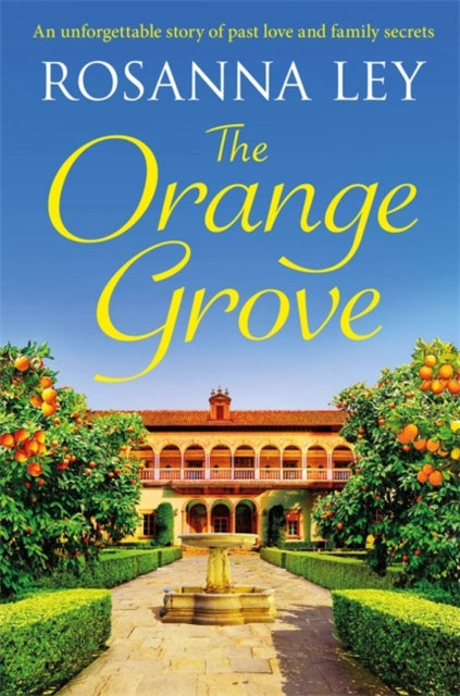 Orange Grove: a mouth-watering holiday romance set in sunny Seville
