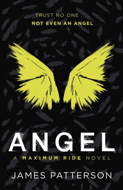 Angel: A Maximum Ride Novel : (Maximum Ride 7)
