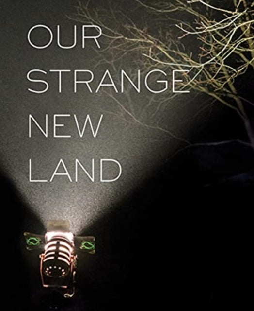 Our Strange New Land: Photographs from Narrative Movie Sets Across the South