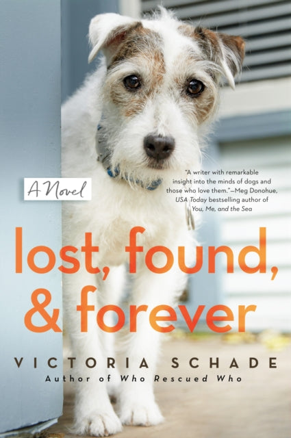 Lost, Found, And Forever: A Novel