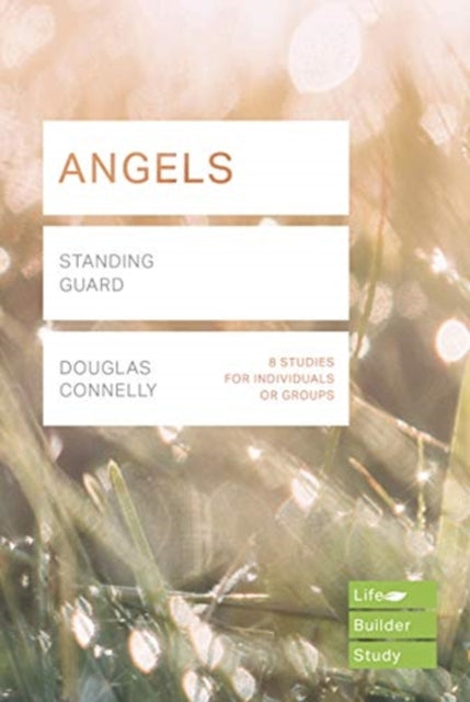 Angels (Lifebuilder Study Guides): Standing Guard