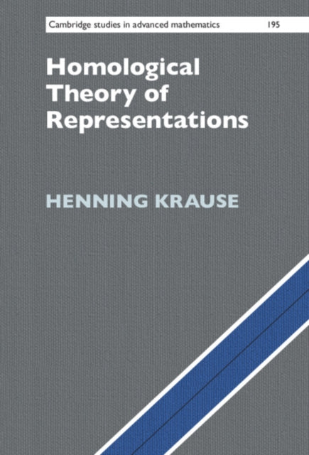 Homological Theory of Representations