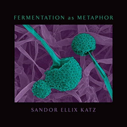 Fermentation as Metaphor: Follow Up to the Bestselling "The Art of Fermentation"