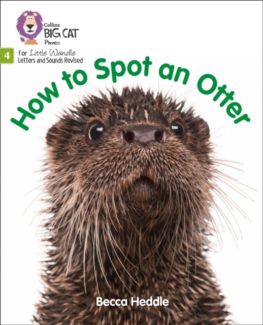 How to Spot an Otter: Phase 4