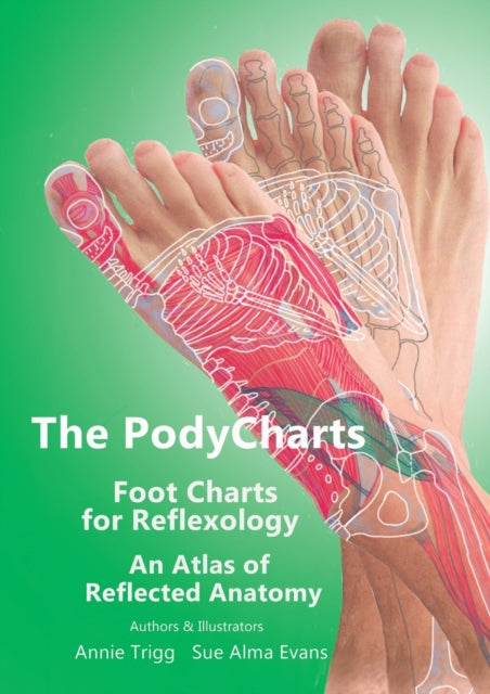 PodyCharts foot charts for reflexology: An atlas of reflected anatomy