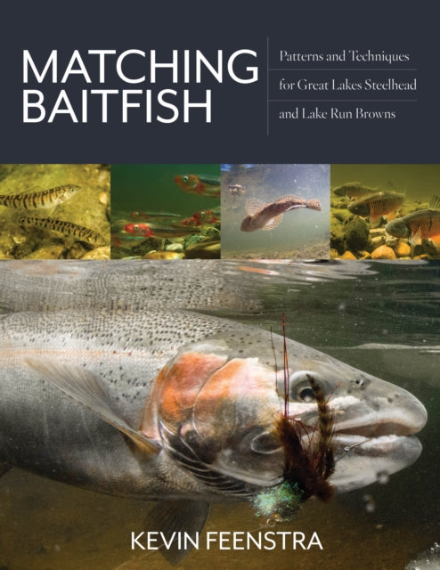 Matching Baitfish: Patterns and Techniques for Great Lakes Steelhead and Lake Run Browns