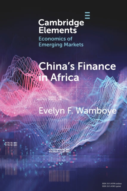 China's Finance in Africa: What and How Much?