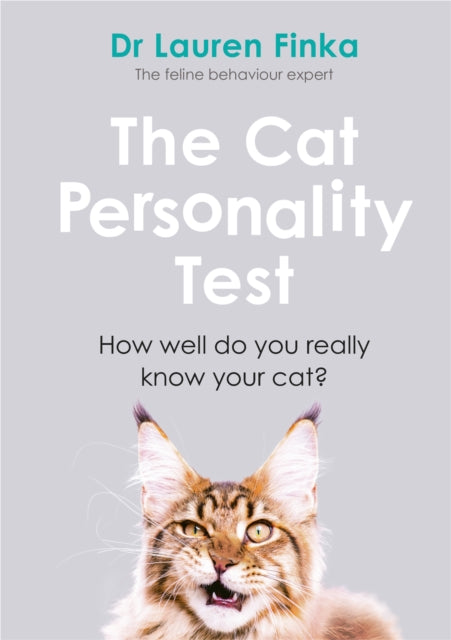 Cat Personality Test: How well do you really know your cat?