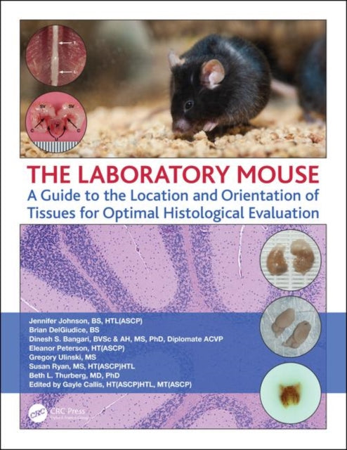 Laboratory Mouse: A Guide to the Location and Orientation of Tissues for Optimal Histological Evaluation