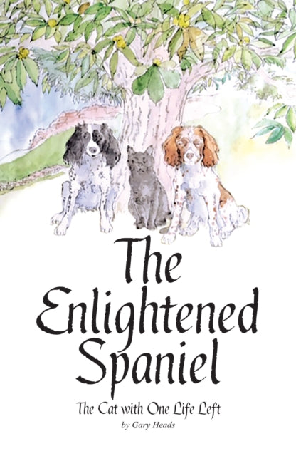 Enlightened Spaniel: The Cat with One Life Left