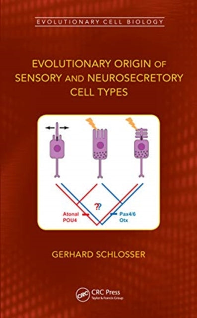 Evolutionary Origin of Sensory and Neurosecretory Cell Types: Vertebrate Cranial Placodes, volume 2