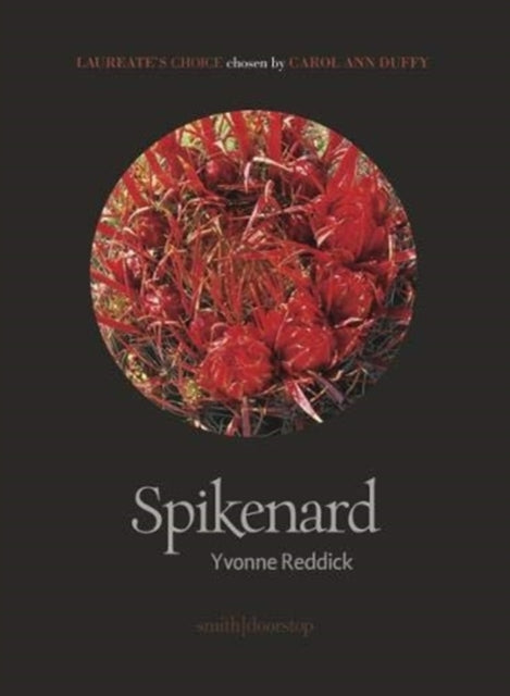 Spikenard