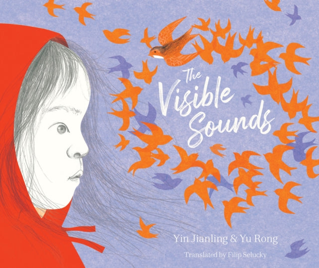 Visible Sounds