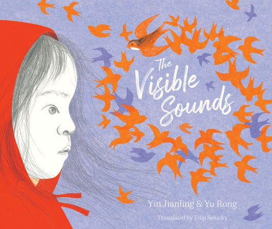 Visible Sounds
