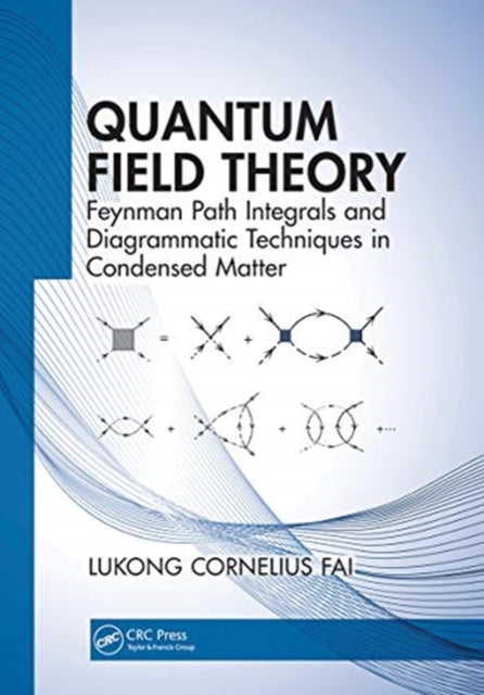 Quantum Field Theory: Feynman Path Integrals and Diagrammatic Techniques in Condensed Matter