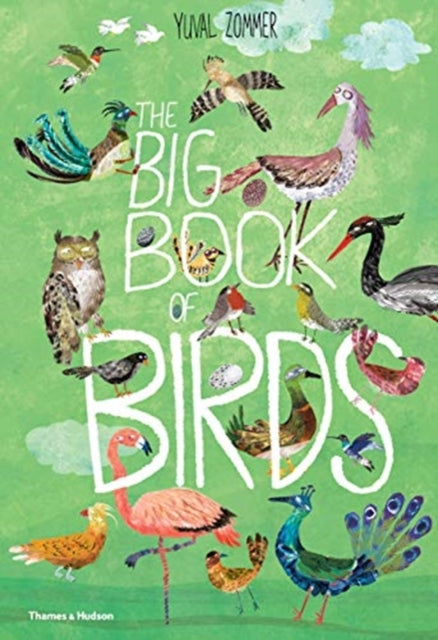 Big Book of Birds