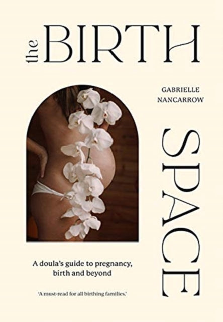 Birth Space: A Doula's Guide to Pregnancy, Birth and Beyond