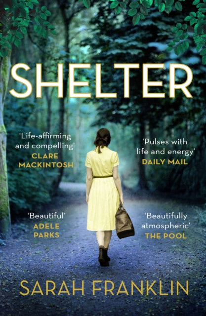Shelter: 'One of the year's hottest debuts'