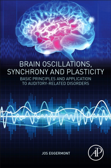 Brain Oscillations, Synchrony and Plasticity: Basic Principles and Application to Auditory-Related Disorders