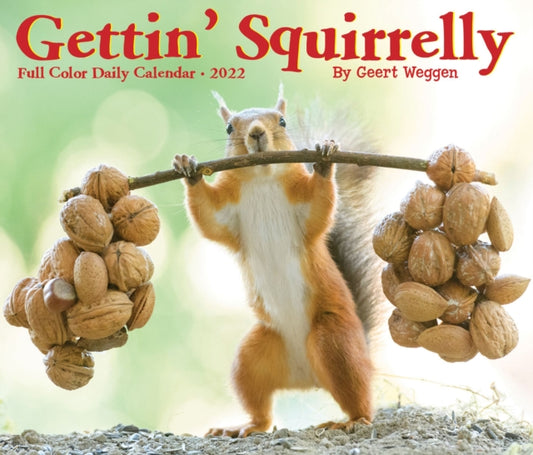 Gettin' Squirrelly 2022 Box Calendar, Daily Desktop Animal Humor